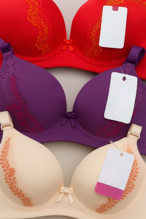 Silk Embroidered Padded Bra for Women