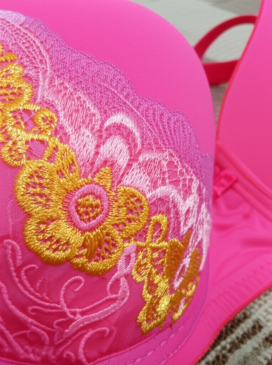 Silk Embroidered Padded Bra for Women