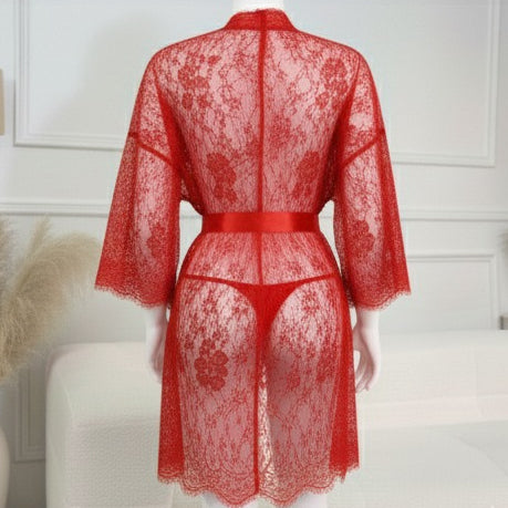 3 Piece Net Gown Set with Bra & Panty | Soft Lace Robe Lingerie | Free Size (fit upto 38 chest) (H)